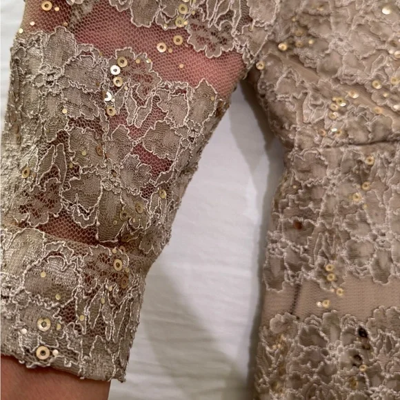 Jessica Howard Elegant sequins & Lace Dress in champagne color - Picture 8 of 10